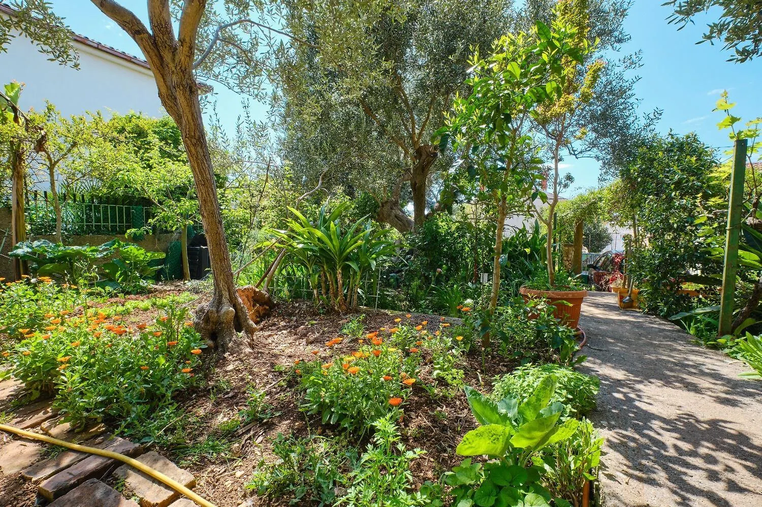 Apartment Giuseppe- Green Terrace Mali Losinj Croatia